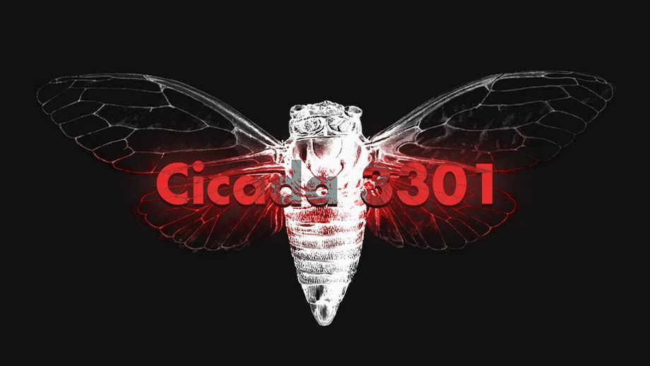 Solving Cicada 3301: Decoding the Internet’s Greatest Mystery